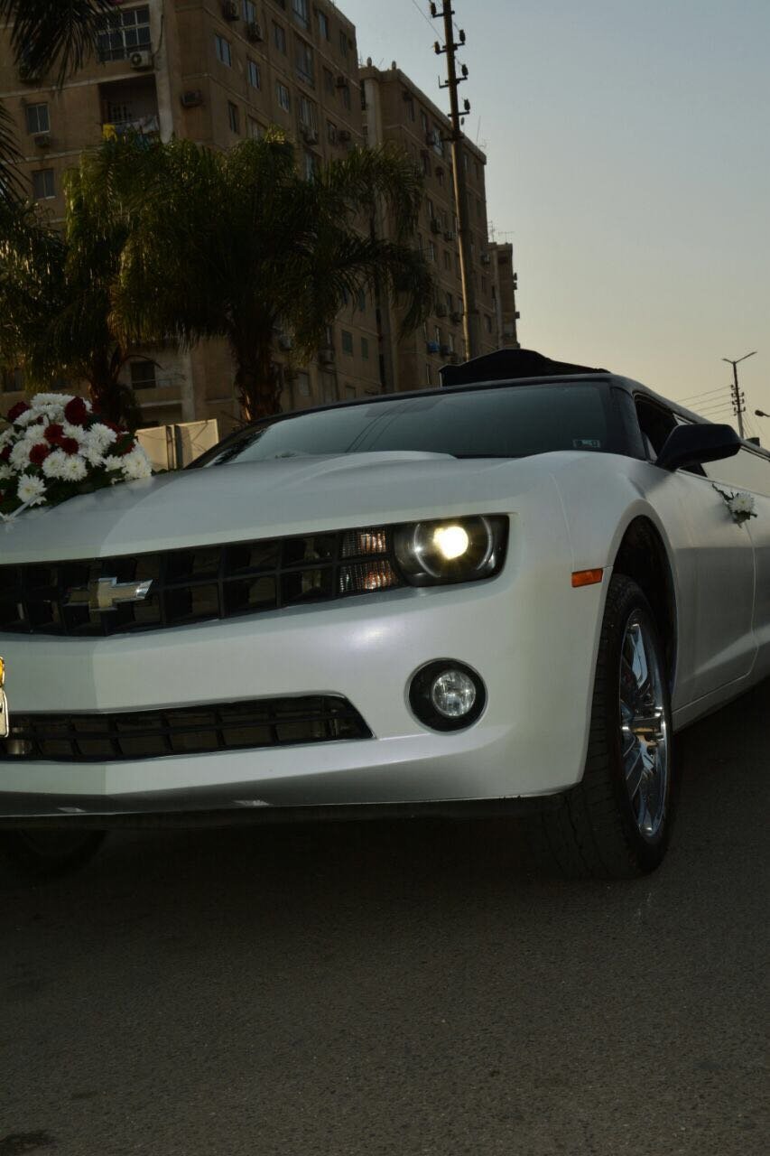 تأجير سيارة شيفورلية كمارو ليموزين 1 تأجير سيارة شيفورلية كمارو ليموزين